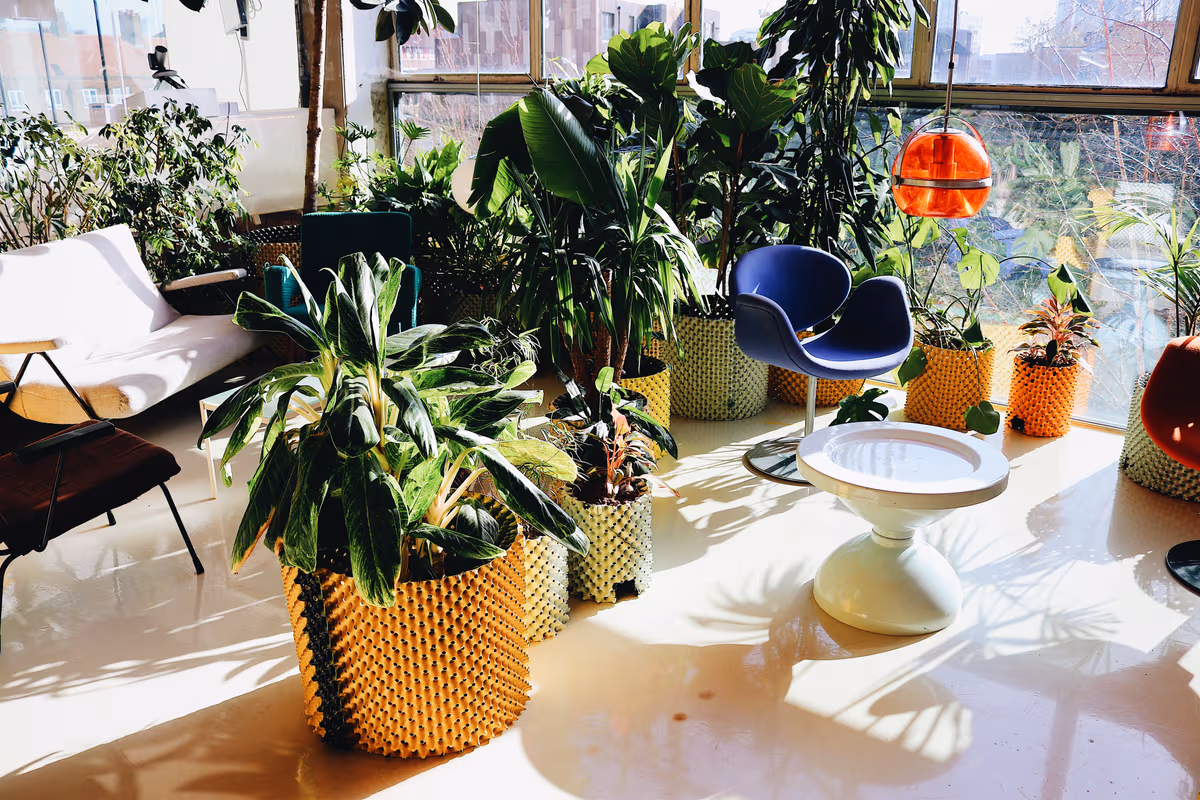 Workspace background