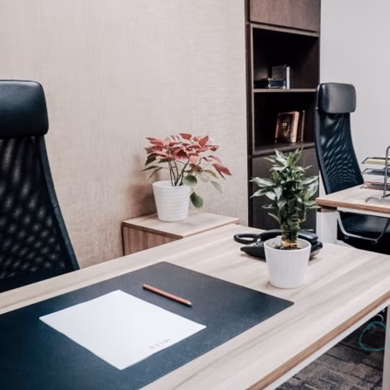 undefined - Image 11