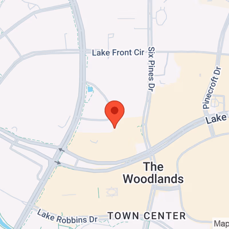1095 Evergreen Cir, The Woodlands - Image 12