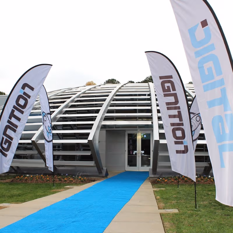 undefined - Image 13