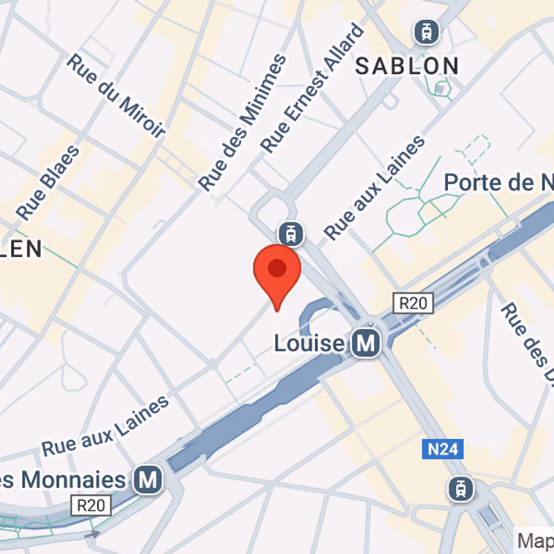 Rue Aux Laines 70, Brussels - Image 11