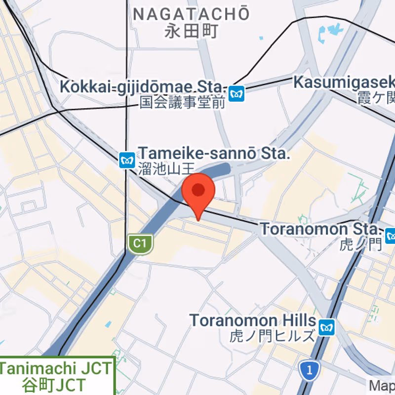1-3-5 Akasaka, Tokyo - Image 8