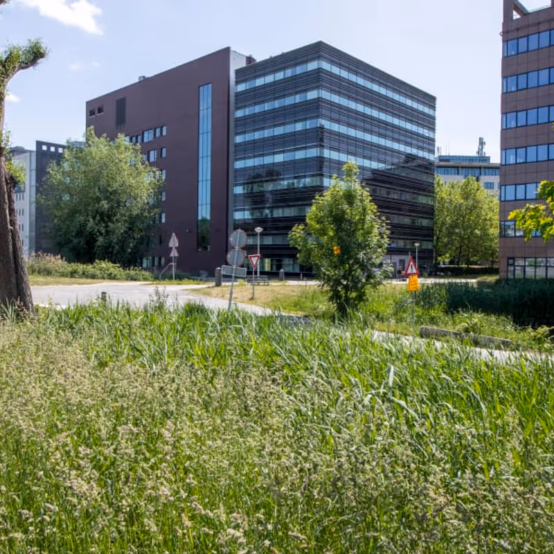 278-308 Hullenbergweg, Amsterdam - Image 6