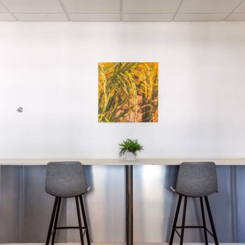 Ebene Heights Cybercity, Ebene - Image 6