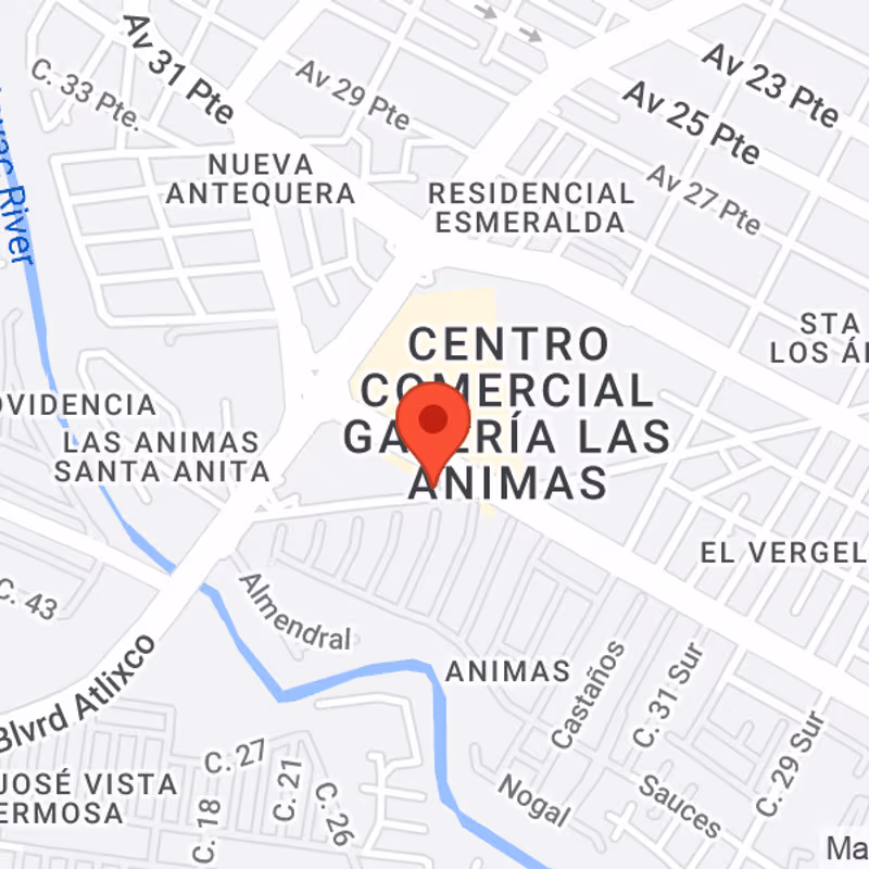 undefined - Image 10