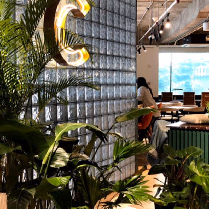 undefined - Image 10