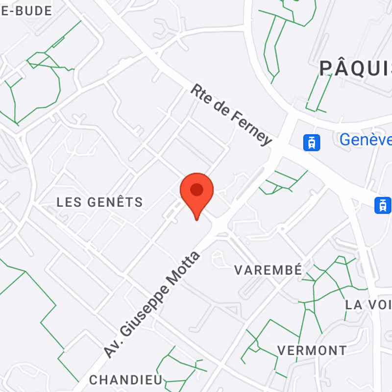 1 Rue Du Pre-de-la-bichette, Geneva - Image 13