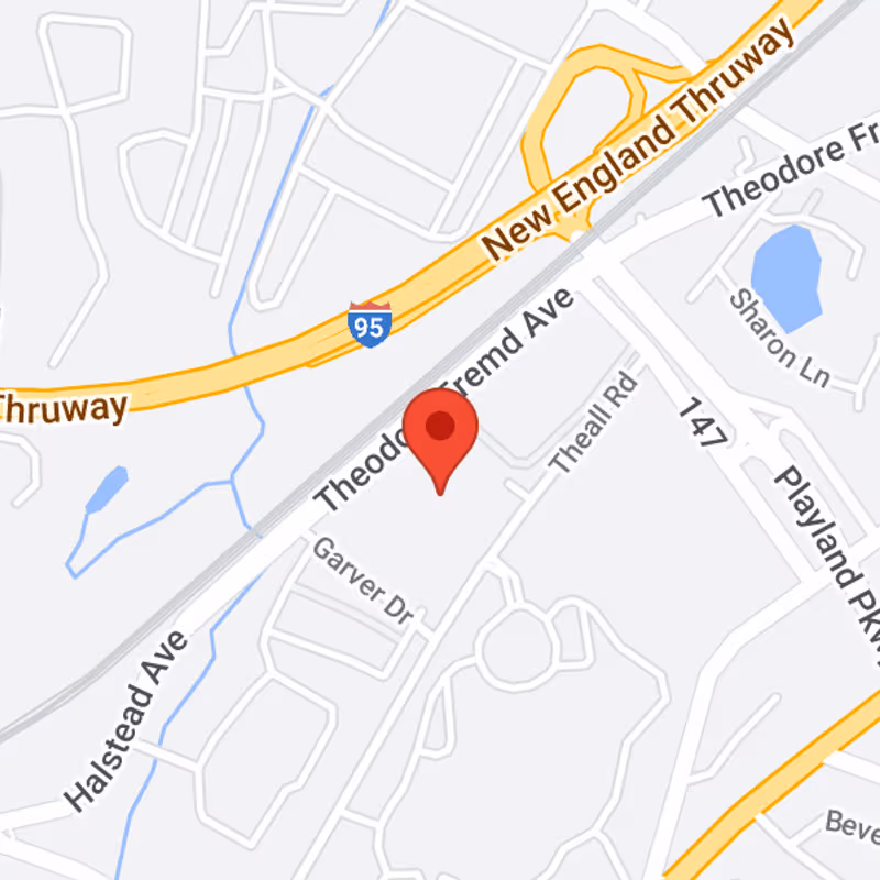 411 Theodore Fremd Avenue, RYE - Image 10