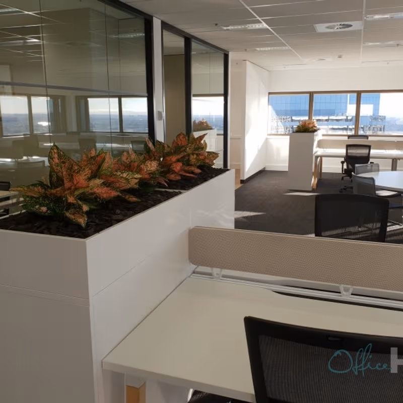 31 Market Street, Sydney - Image 4