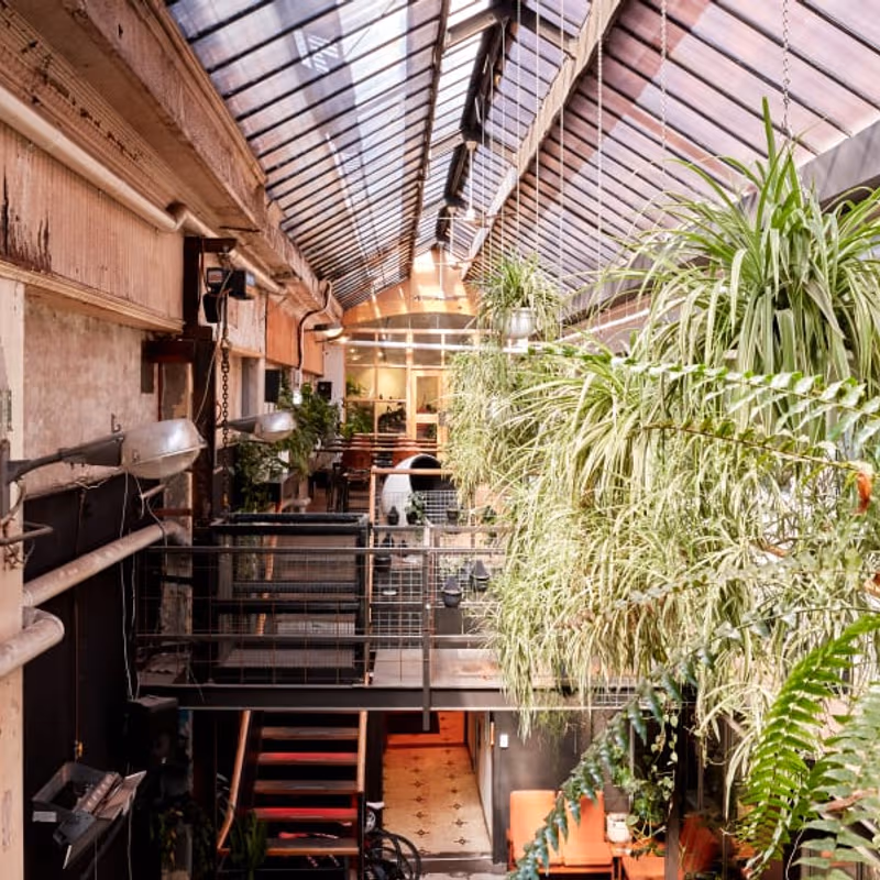 undefined - Image 12