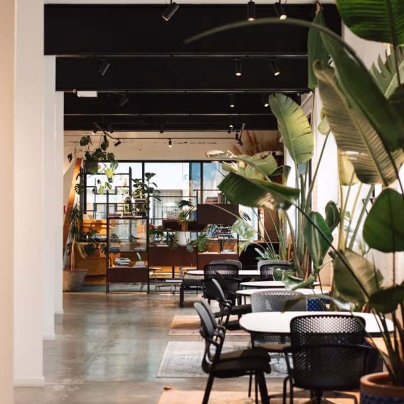 undefined - Image 11