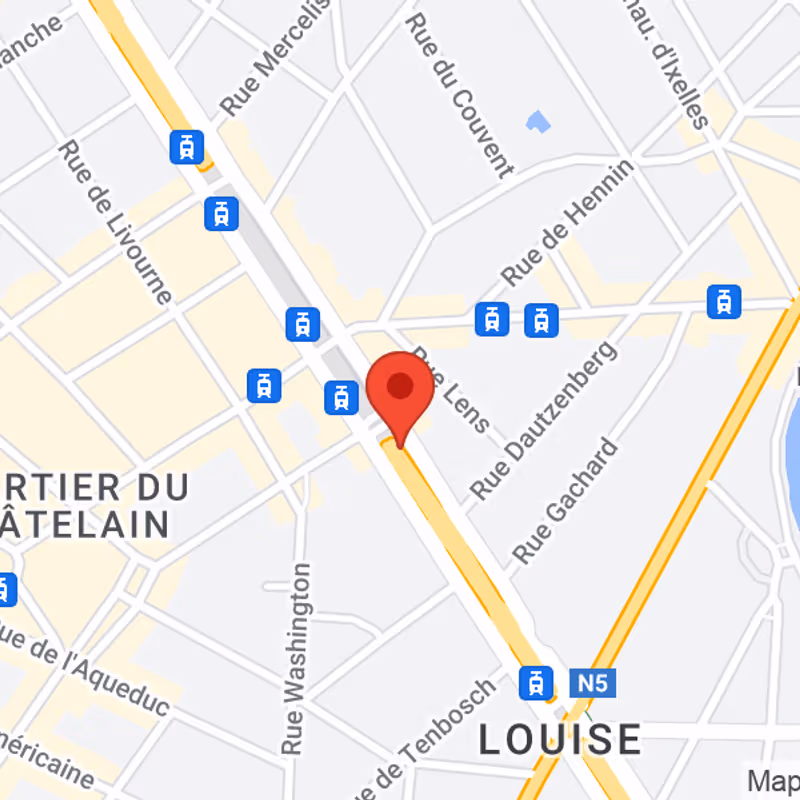 231 Av Louise, Brussels - Image 11