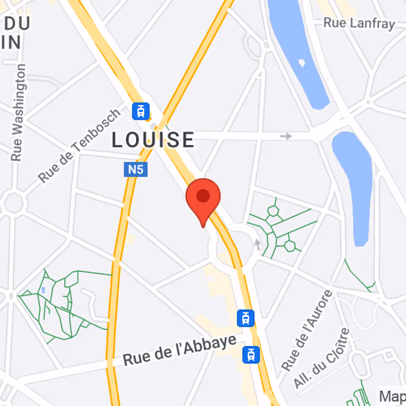 367 Av Louise, Brussels - Image 6