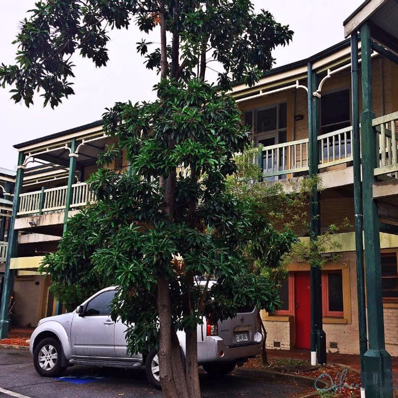 1 Payneham Road, College Park - Image 2