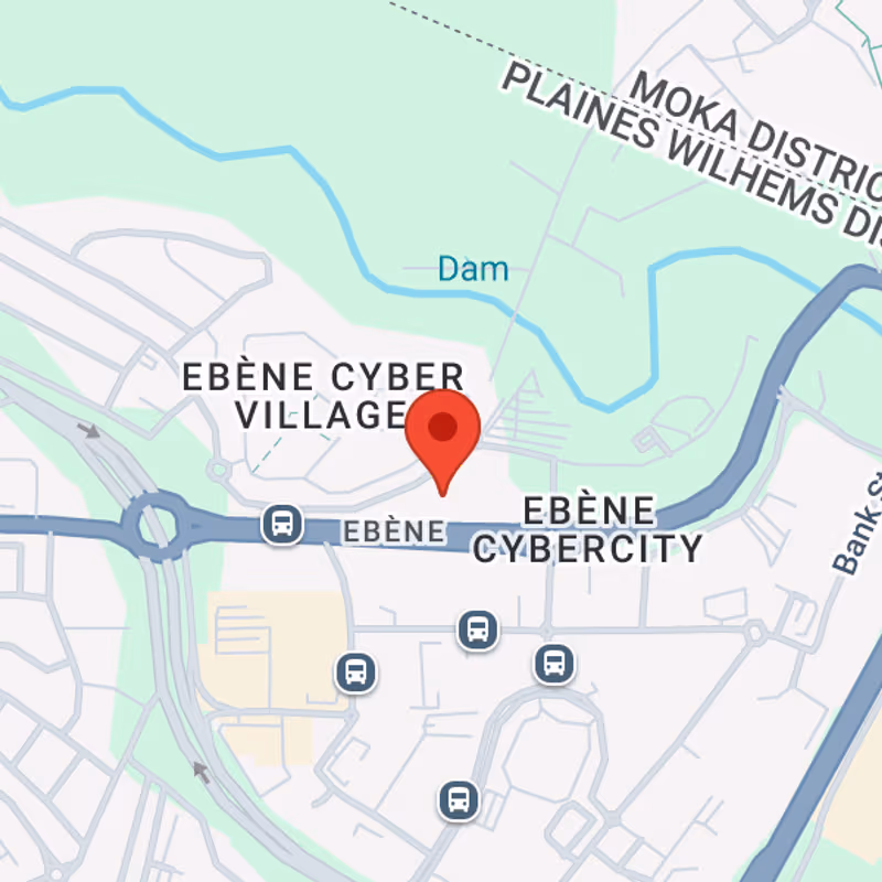 Rue De L'institut, Ebène - Image 6