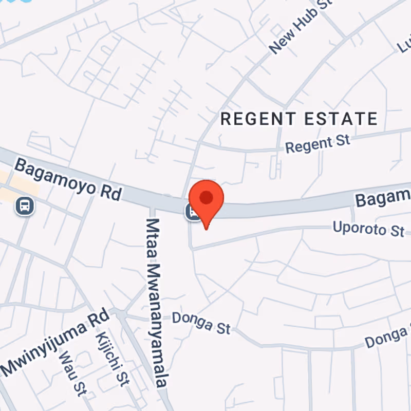 Tanzanite Park New, Bagamoyo Rd - Image 10