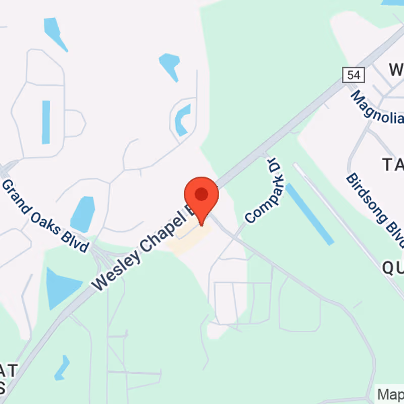 26314 Wesley Chapel Boulevard, Lutz - Image 5