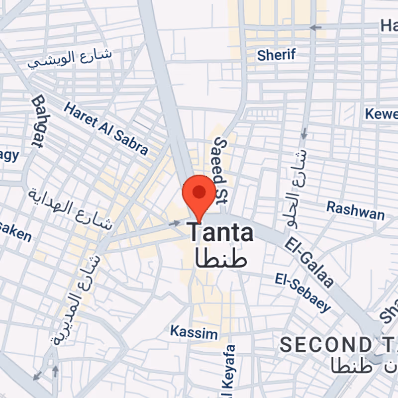 Logistic Zone, Tanta - Image 7