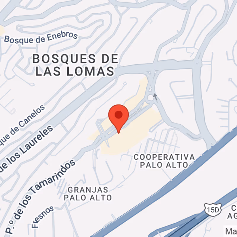 90 Paseo De Los Tamarindos, Bosques De Las Lomas - Image 11