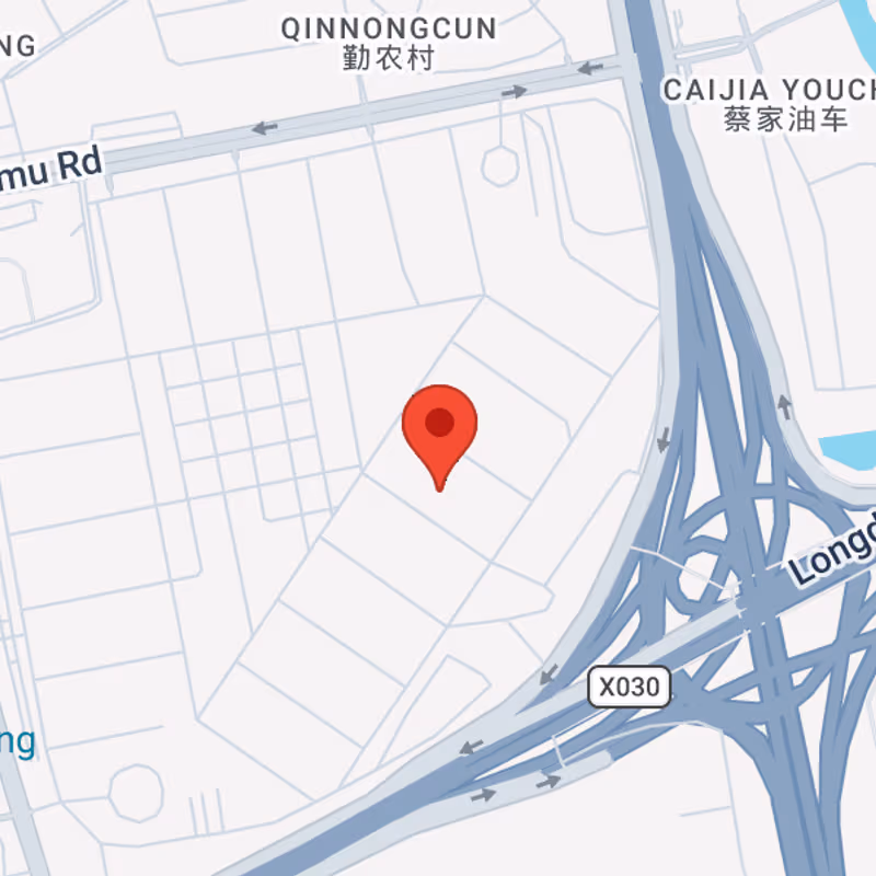 No333 Lanhua Road Pudong New Areapudong District, Shanghai - Image 10