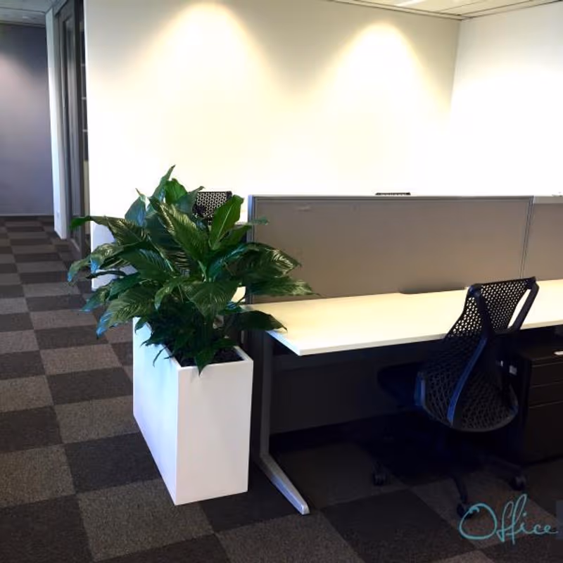 123 Eagle Street, Brisbane - Image 1
