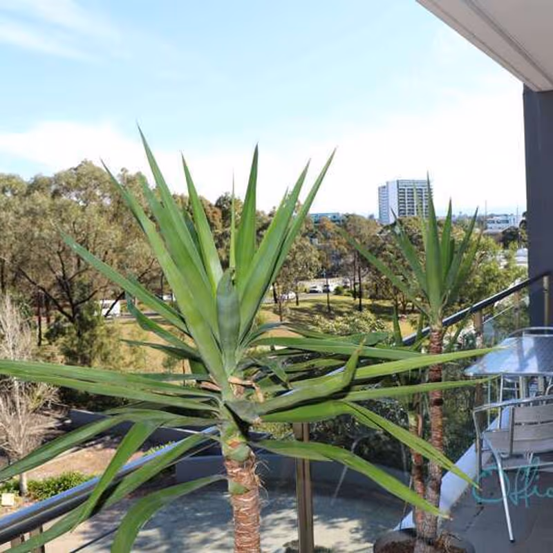 undefined - Image 15