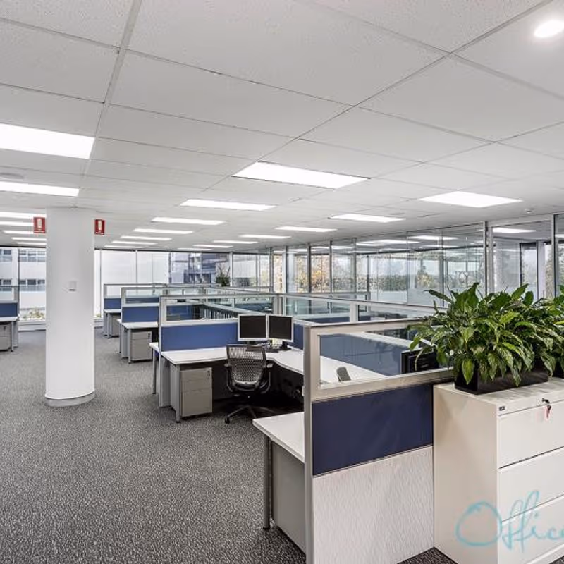 39 Chandos Street, St Leonards - Image 1