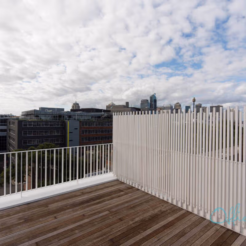 54 Waterloo Street, Surry Hills - Image 5