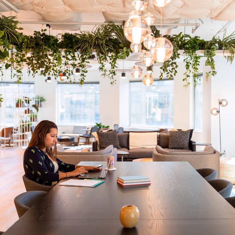 undefined - Image 12