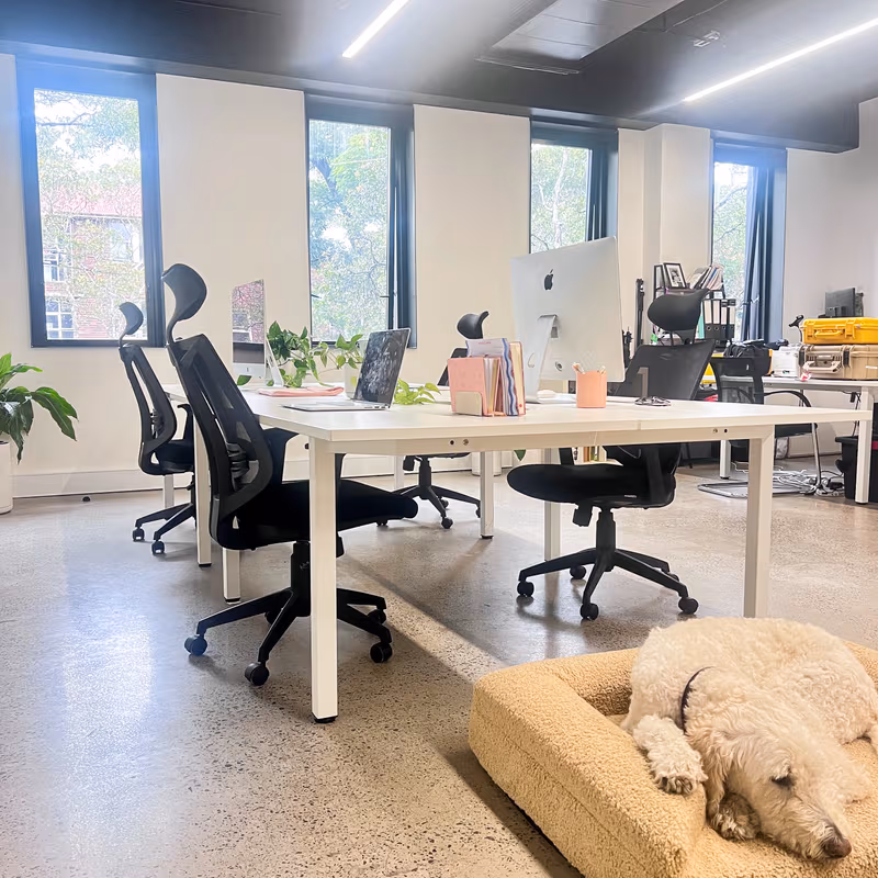 619 Elizabeth Street, Surry Hills - Image 6