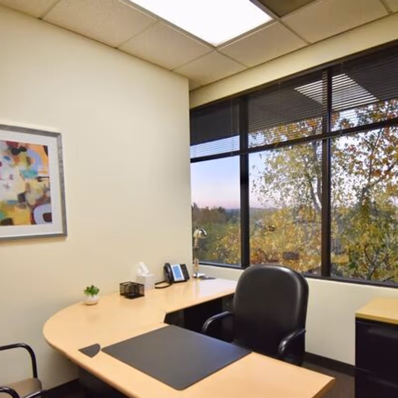 2950 Buskirk Ave, Walnut Creek - Image 7