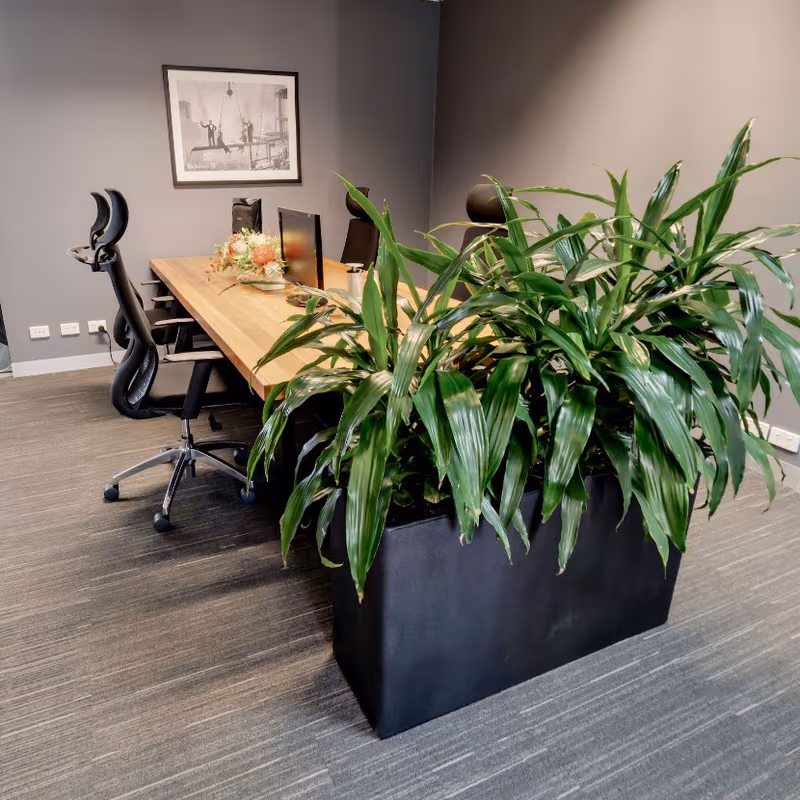 330 Collins Street, Melbourne - Image 10