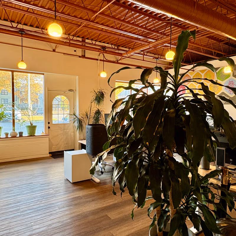 6 Eliza Street, Beacon - Image 4