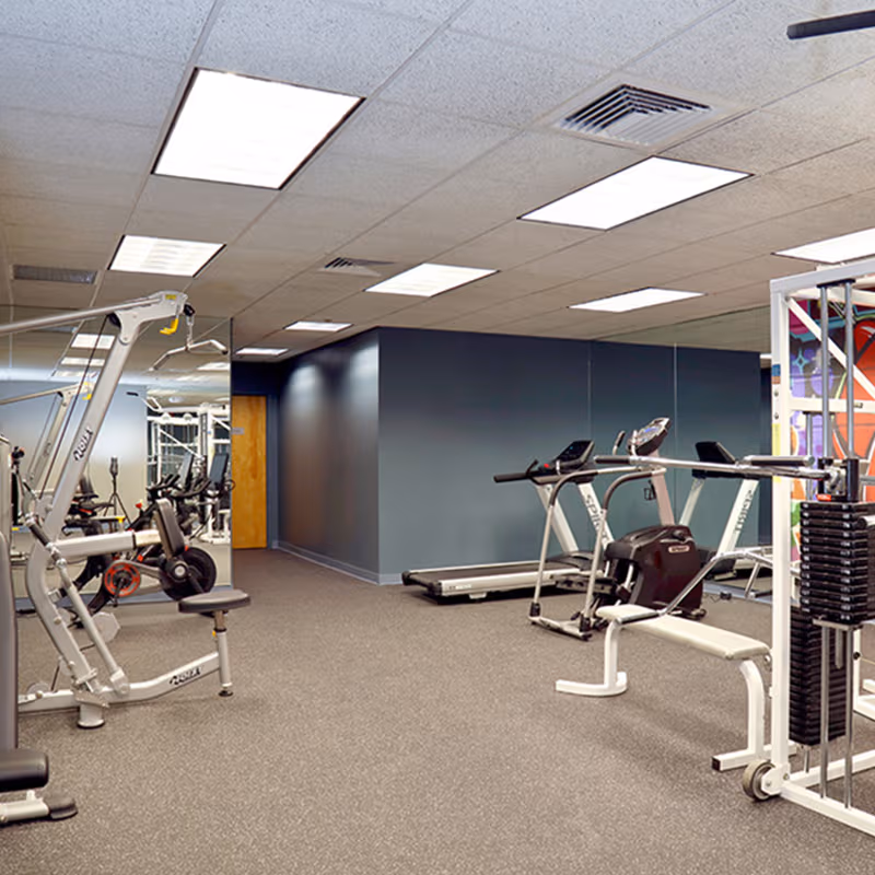 67 Forest Street, Marlborough - Image 6