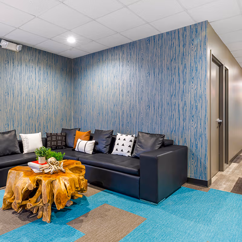 67 Forest Street, Marlborough - Image 7