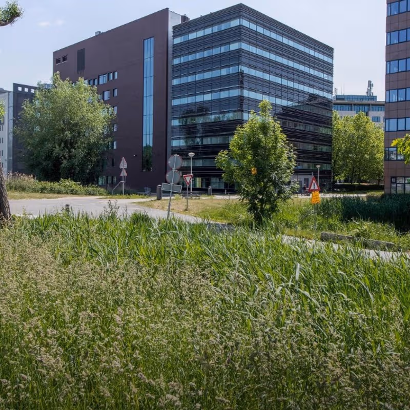 278-308 Hullenbergweg, Amsterdam - Image 6