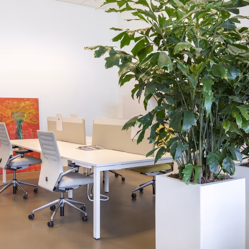 Panamalaan 104, Amsterdam - Image 1