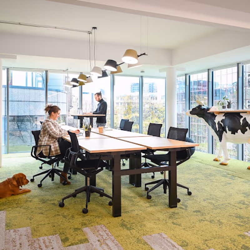 30 Hansastrasse, Dortmund - Image 8