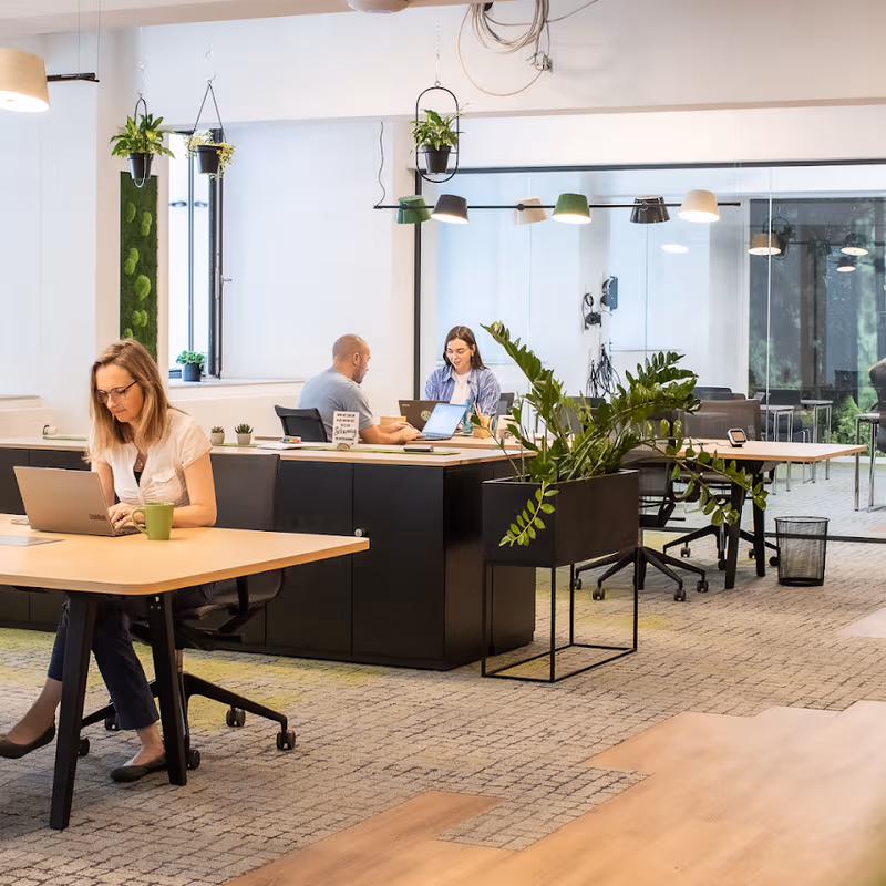 41 Lindenallee, Essen - Image 1