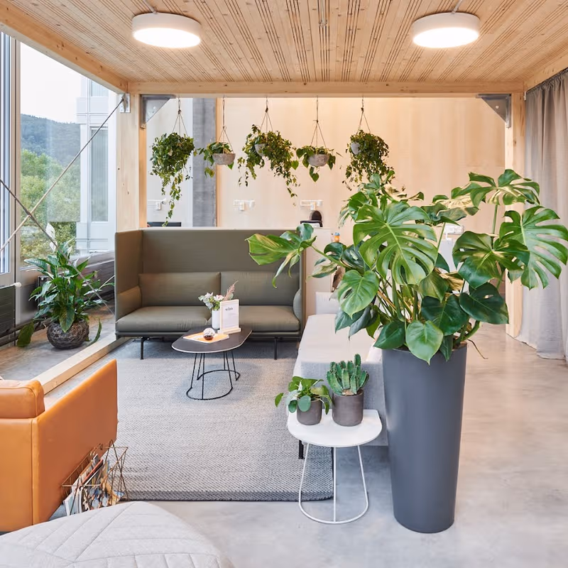 253 Albisriederstrasse, Zürich - Image 8