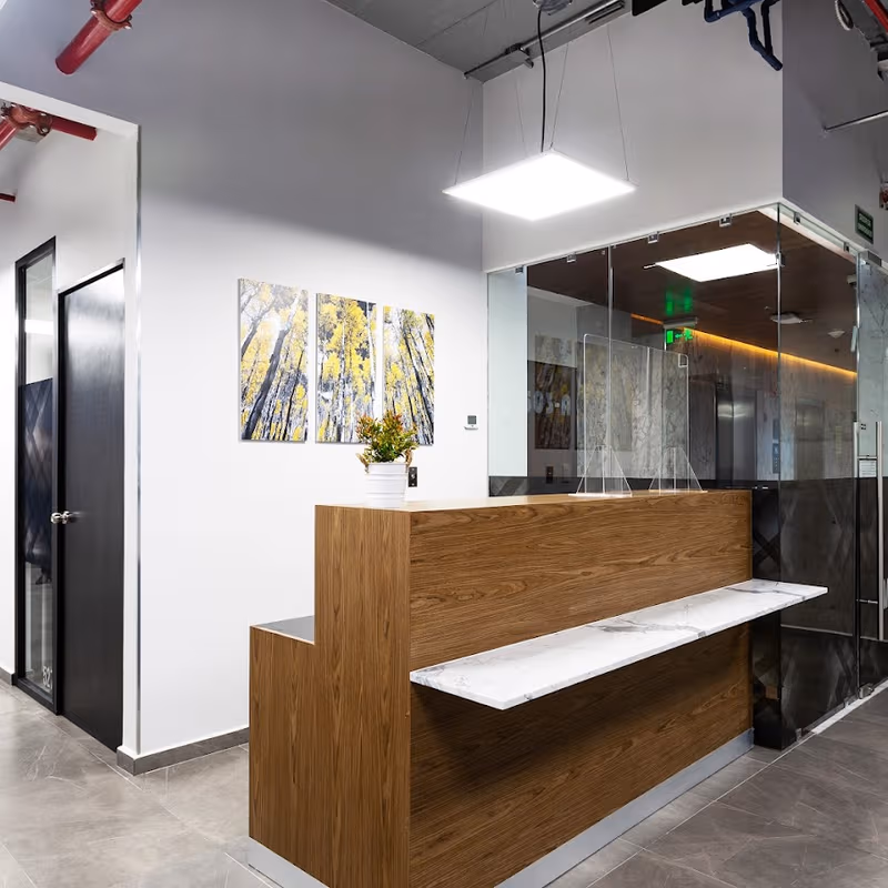 442 Lago Alberto Verónica Anzúres Miguel Hidalgo, Ciudad De México - Image 9