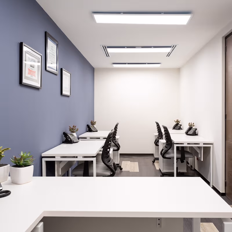 11 Av Jaime Balmes, Ciudad De México - Image 4