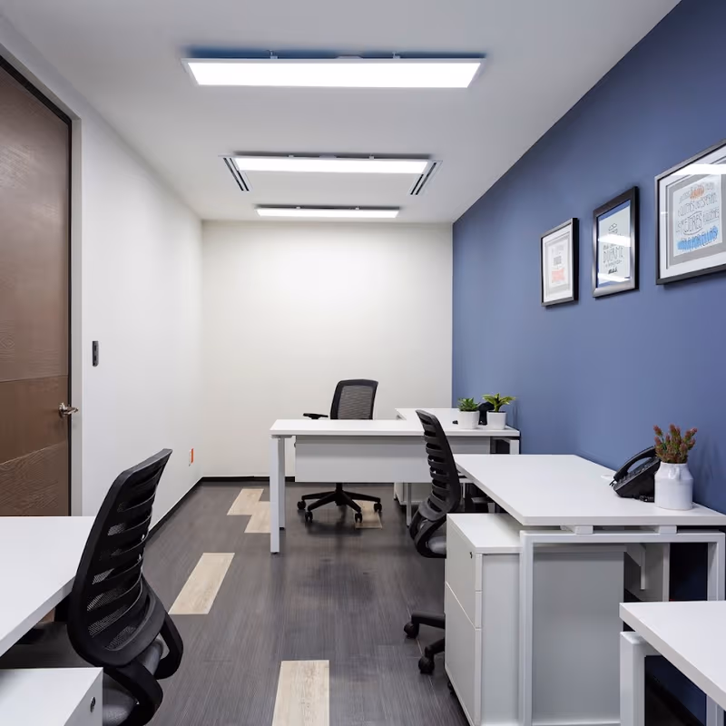 11 Av Jaime Balmes, Ciudad De México - Image 3