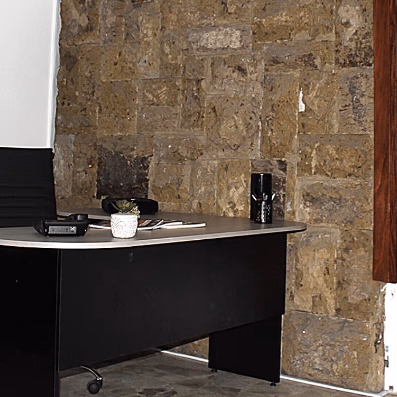 4109 Av Guadalupe  Cd De Los Niños, Zapopan - Image 4