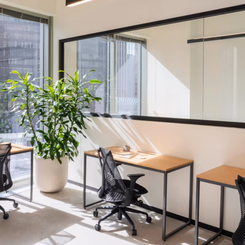 3390 Mary Street, Miami - Image 3