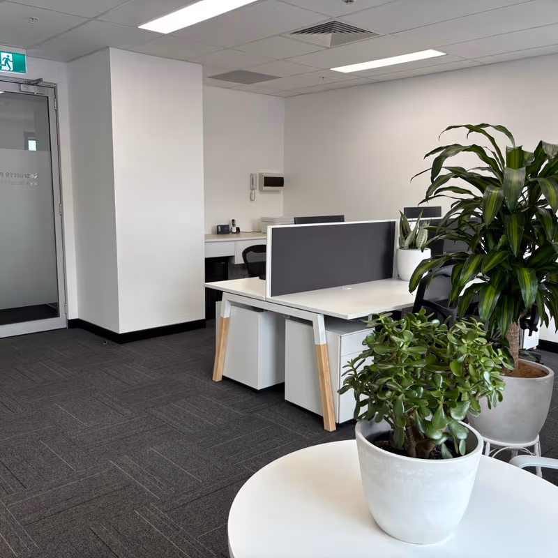 289 King Street, Mascot - Image 4