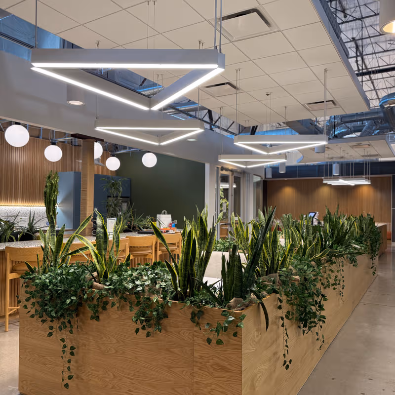 4750 South 44th Place, Phoenix - Image 3