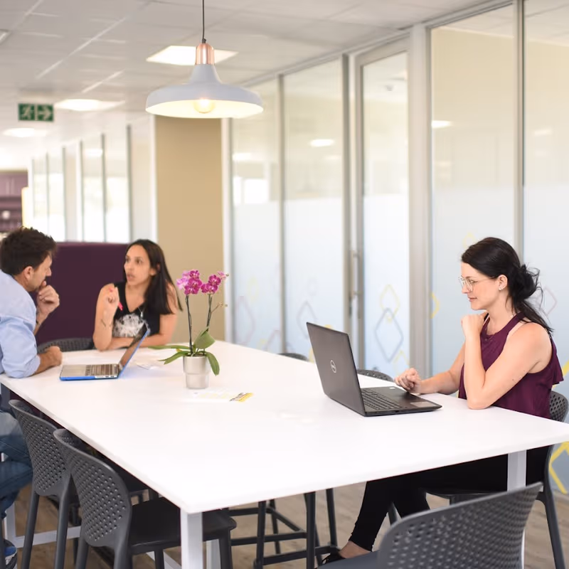 Spaanschemat River Road, Constantia - Image 4