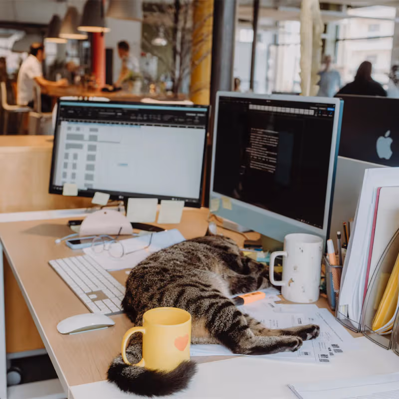 12 Avenue Du Rhône, Annecy - Image 13