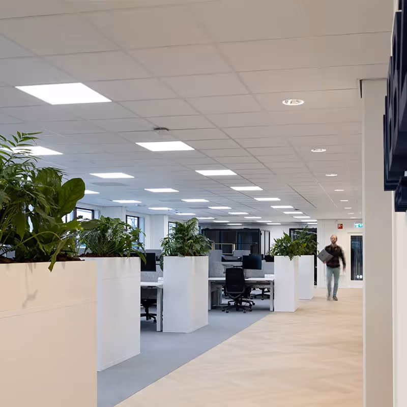 55 Schipholweg, Leiden - Image 3
